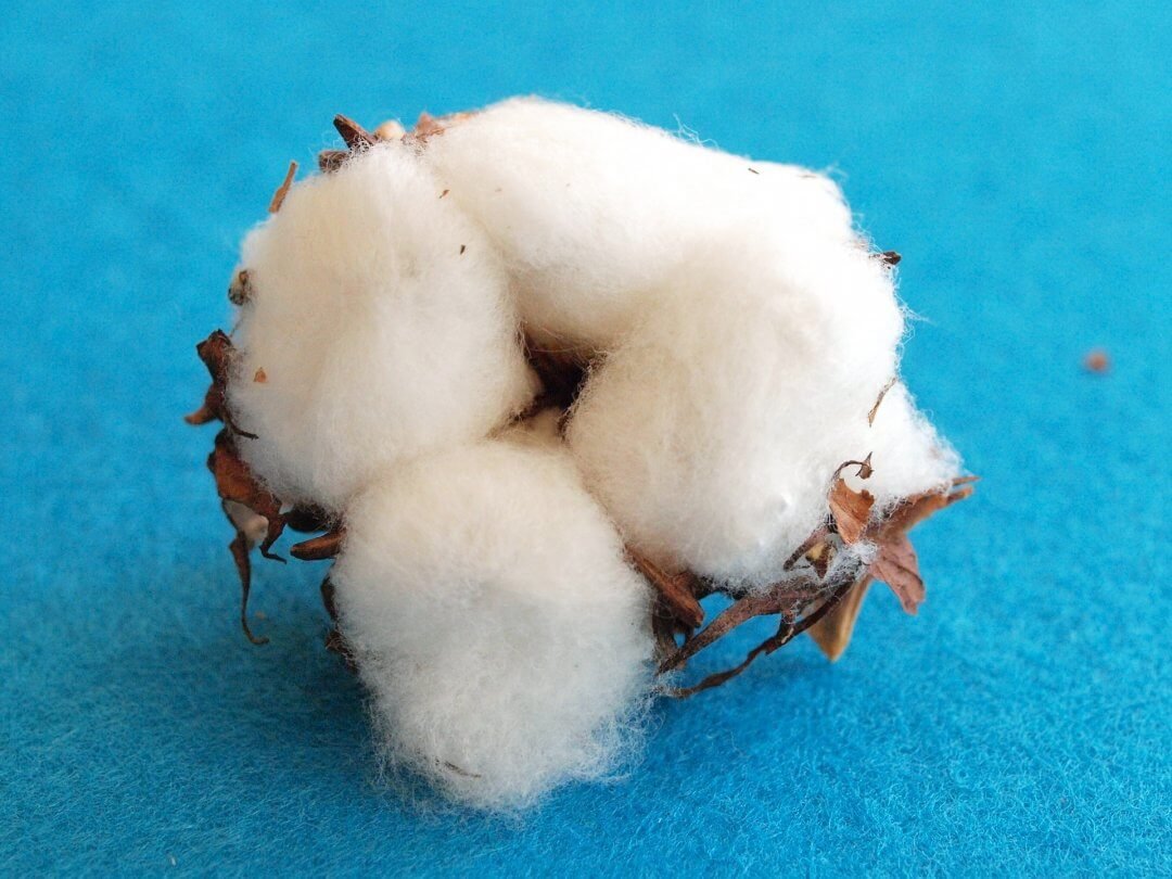 Cotton vs polycotton bedding